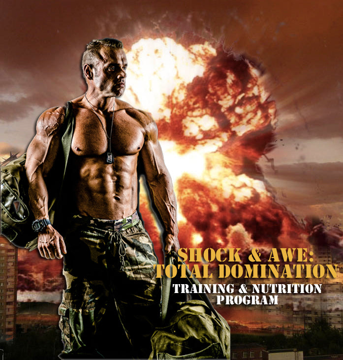 Shock & Awe: Total Domination Chapter One