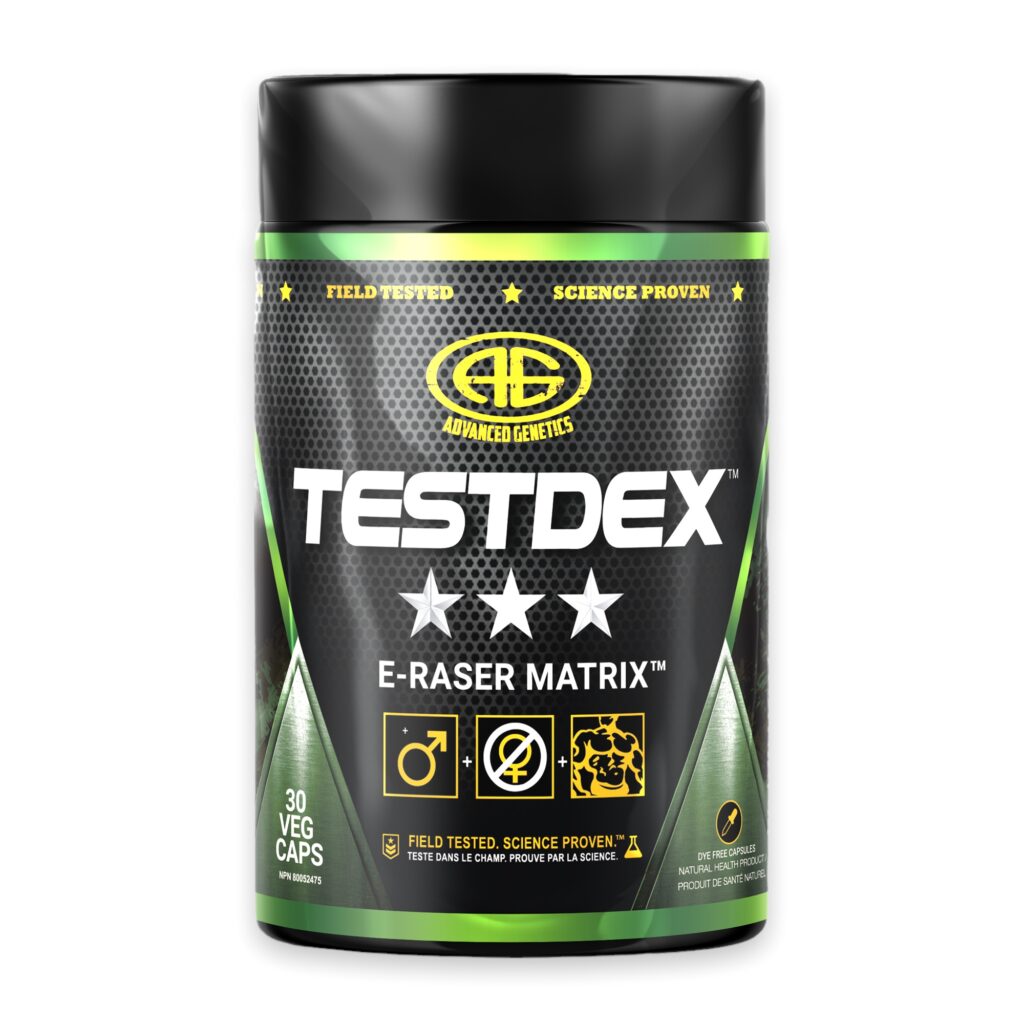 Testdex